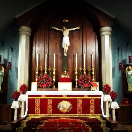 Annual Membership - (Automatic Annual Renewal) Free Gift Included